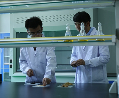 �m�ݿո۸��Fվ����ˎ�p��������